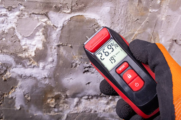 Best Industrial Mold Remediation in Strongsville, OH