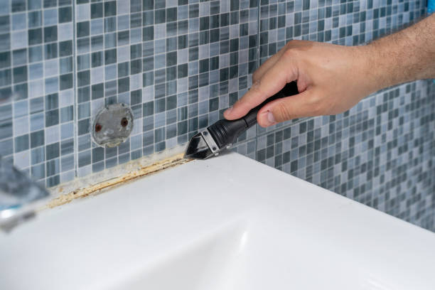 Best Mold Remediation for Specific Building Types in Strongsville, OH